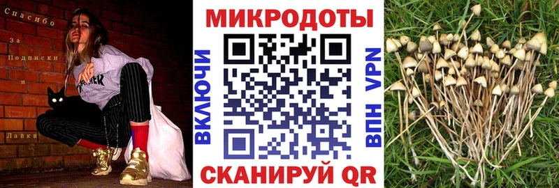 MEGA ССЫЛКА  Козловка  Псилоцибиновые грибы прущие грибы 
